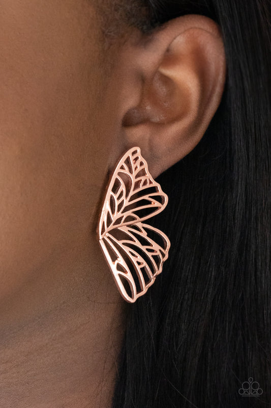 Butterfly Frills - Copper - 30